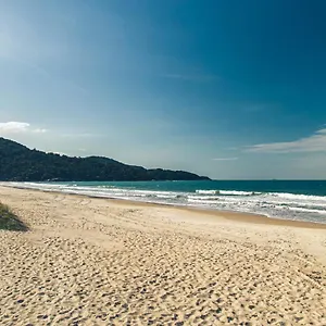 https://res-ilha-do-arvoredo.santa-catarina-brasil.com