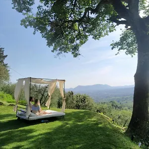 https://azienda-agricola-e-agriturismo-forestaria.it-tuscanyhotel.com